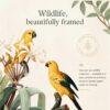 Botanical Parrot Print
