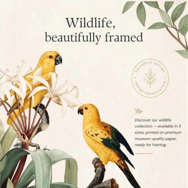 Botanical Parrot Print