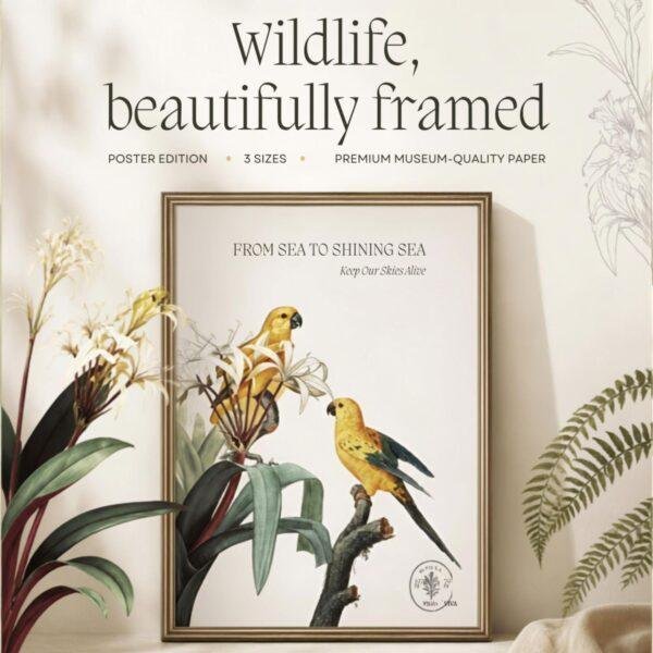 Botanical Parrot Print
