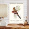 Bird Watching John Gould Wall Calendar