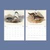 Bird Watching John Gould Wall Calendar