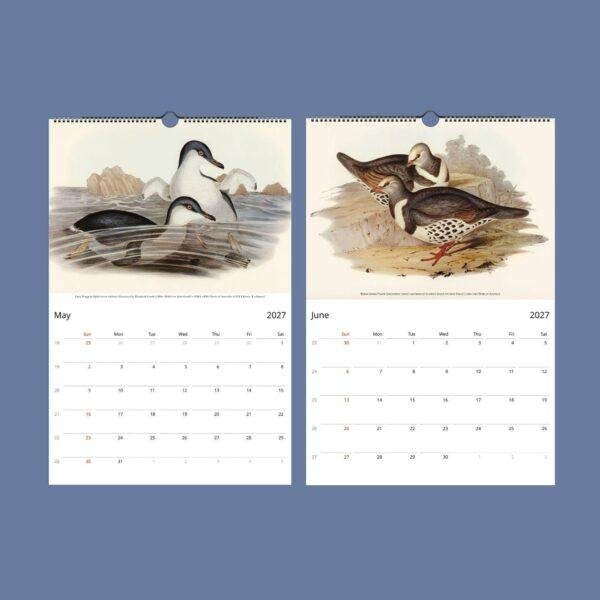 Bird Watching John Gould Wall Calendar