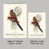 Bird Watching John Gould Wall Calendar