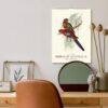 Bird Watching John Gould Wall Calendar