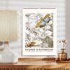 Elegance in Entomology 2027 wall calendar with illustrated insects