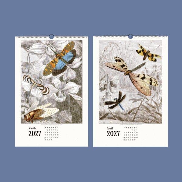 2027 wall calendar featuring vintage insect botanical illustrations