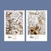2027 wall calendar featuring vintage insect illustrations for July August