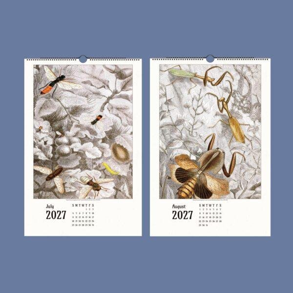 2027 wall calendar featuring vintage insect illustrations for July August
