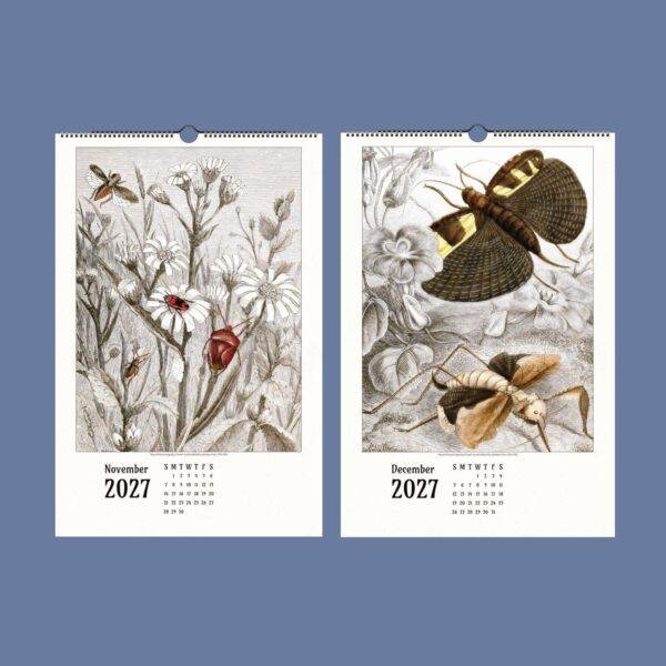 2027 wall calendar featuring vintage insect botanical illustrations