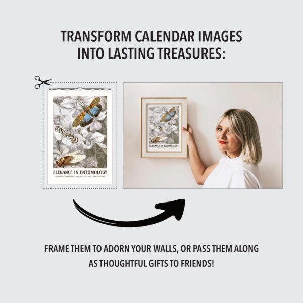 Woman framing entomology calendar art on wall
