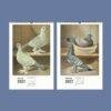 2027 wall calendar featuring vintage pigeon illustrations