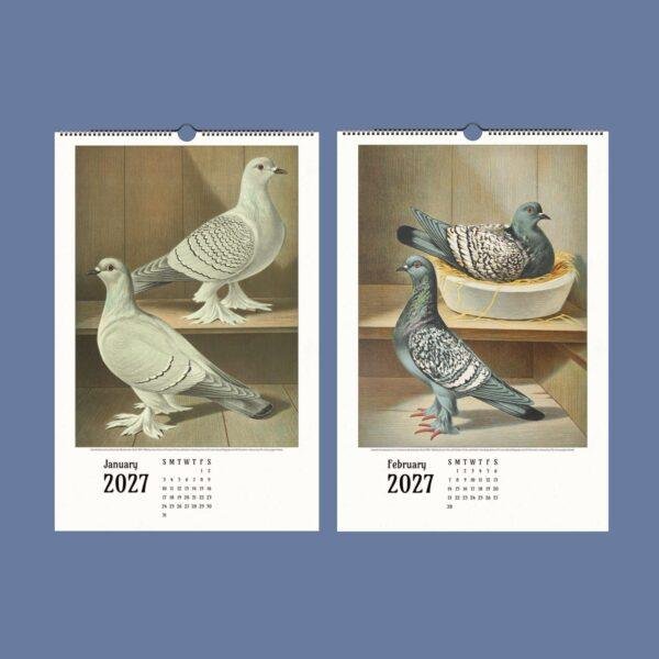 2027 wall calendar featuring vintage pigeon illustrations