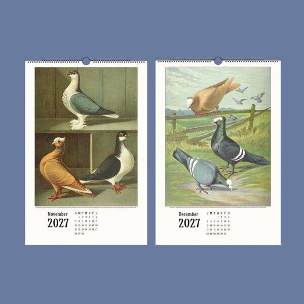 2027 wall calendar featuring vintage pigeon breed illustrations