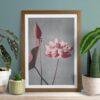 Framed pink lotus flower art print surrounded by houseplants