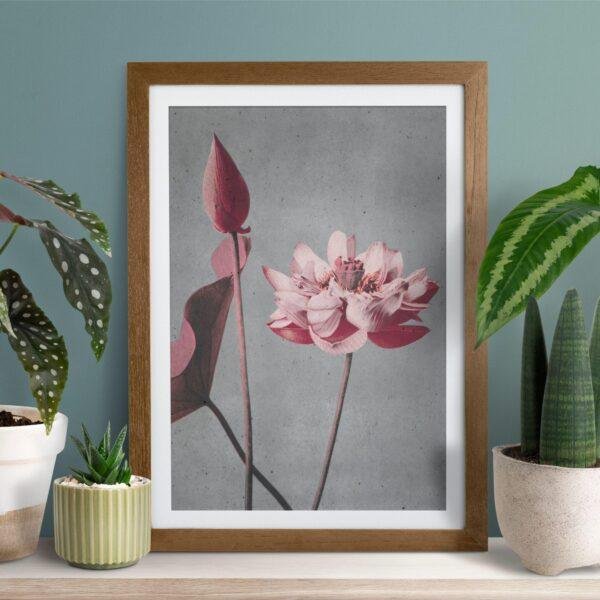 Framed pink lotus flower art print surrounded by houseplants