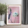Framed lotus flower art print on pink background