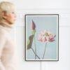 Framed lotus flower botanical print on white wall