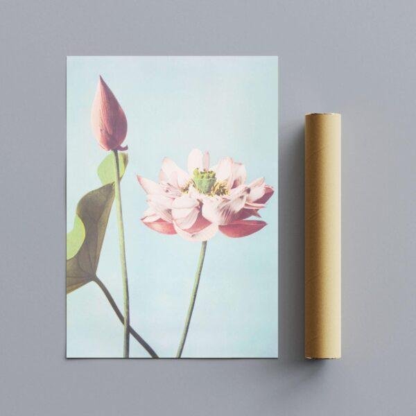 Lotus flower art print with cardboard shipping tube