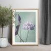 Framed lotus flower art print in natural wood frame