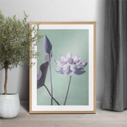 Framed lotus flower art print in natural wood frame