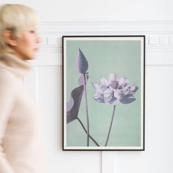 Framed lotus flower art print on white wall