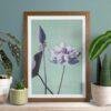Framed purple lotus flower art print surrounded by houseplants