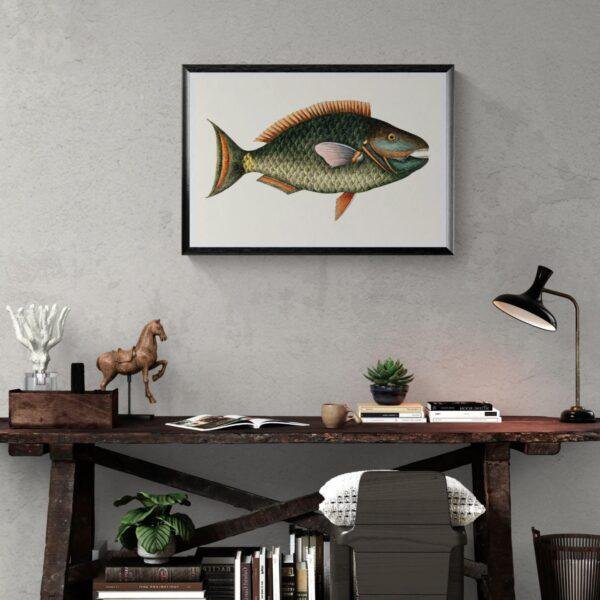 Vintage fish illustration framed above rustic wooden desk