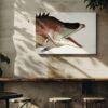 Vintage fish illustration canvas art in rustic cafe