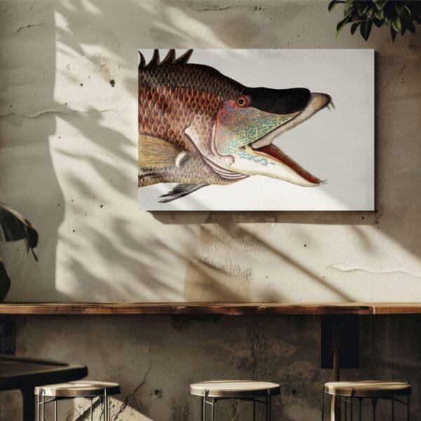 Vintage fish illustration canvas art in rustic cafe