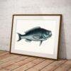 Framed vintage blue fish illustration leaning against wall