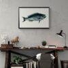 Vintage fish illustration framed above rustic wooden desk