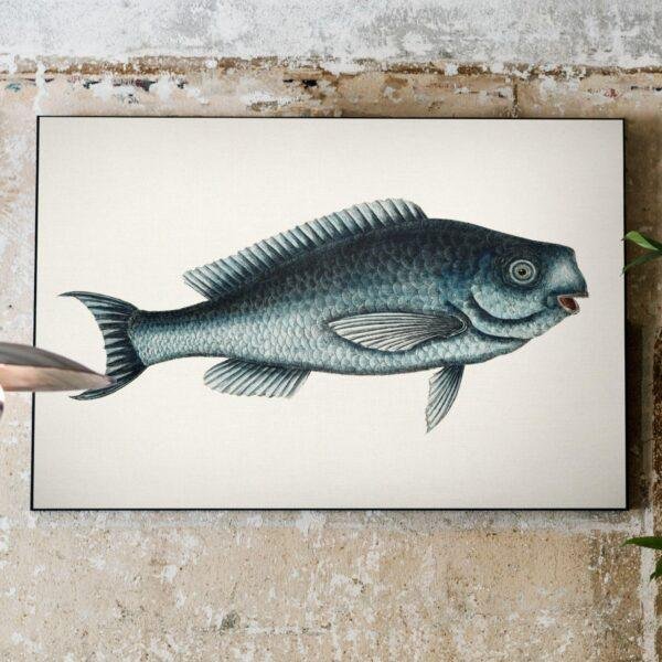 Vintage botanical fish illustration canvas art on rustic wall
