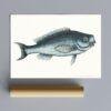Vintage botanical illustration print of a blue fish