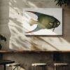 Vintage fish illustration canvas art on cafe wall