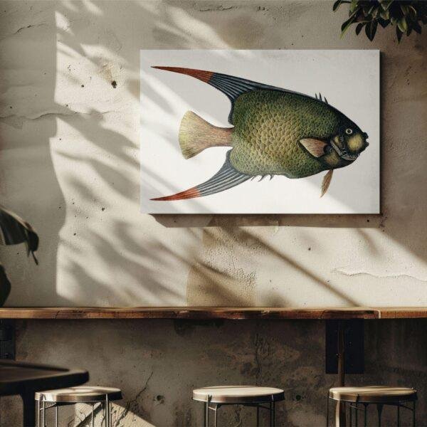 Vintage fish illustration canvas art on cafe wall