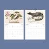 2027 wall calendar featuring vintage natural history illustrations