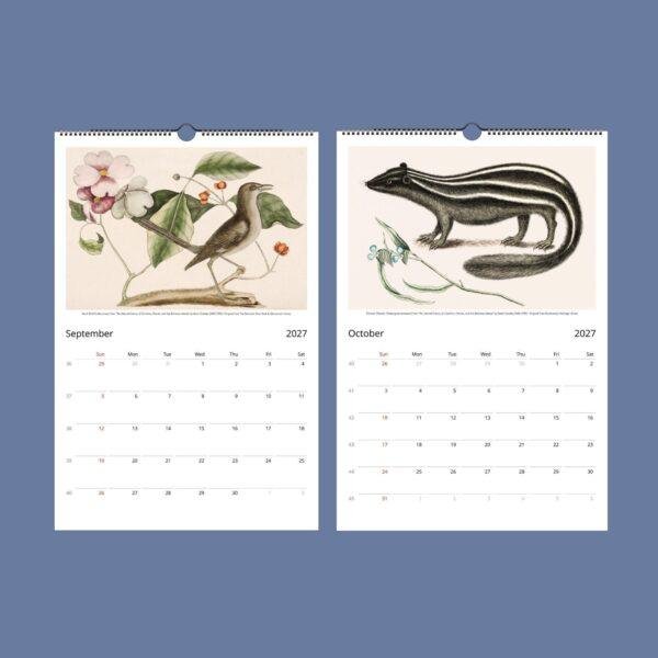2027 wall calendar featuring vintage natural history illustrations