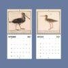 2027 wall calendar featuring vintage shorebird illustrations September October