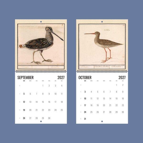 2027 wall calendar featuring vintage shorebird illustrations September October