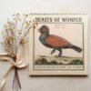 Beasts of Wonder 2027 wall calendar featuring vintage bird illustration