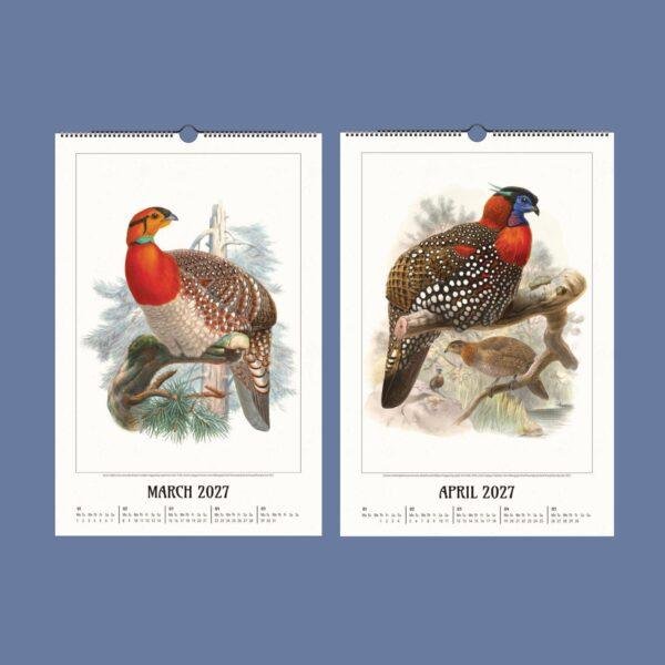 2027 wall calendar featuring vintage pheasant bird illustrations