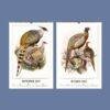 2027 wall calendar featuring vintage pheasant illustrations September October