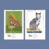 2027 wall calendar showing May butterfly and June cat artwork