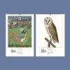 2027 wall calendar featuring bird artwork for July and August