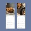 2027 wall calendar showing May and June food photography