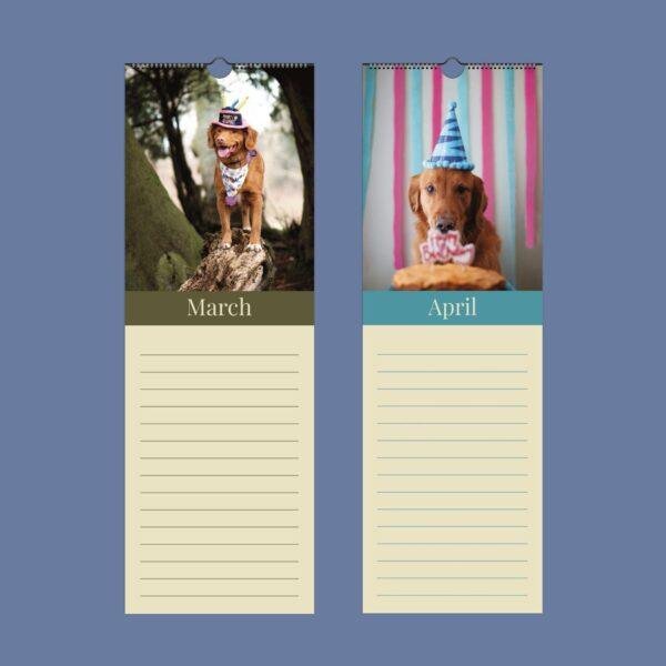 Two wall calendar pages featuring golden retrievers in party hats
