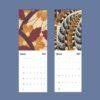 2027 wall calendar showing January and February botanical art