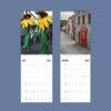 2027 Ireland wall calendar showing July and August pages