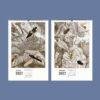 2027 wall calendar featuring vintage insect botanical illustrations