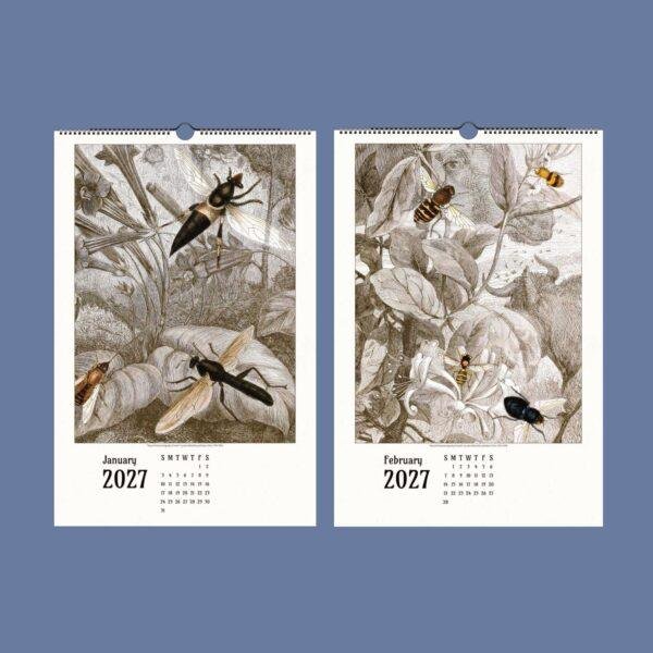 2027 wall calendar featuring vintage insect botanical illustrations
